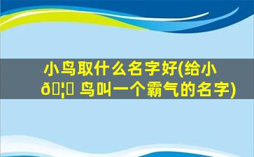 小鸟取什么名字好(给小 🦄 鸟叫一个霸气的名字)